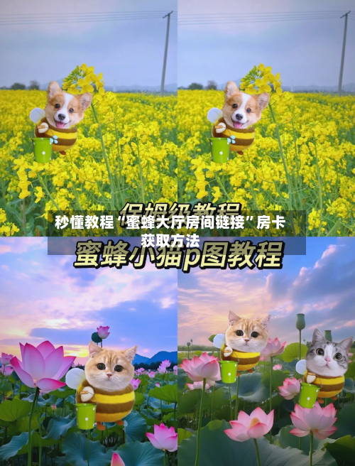 秒懂教程“蜜蜂大厅房间链接”房卡获取方法-第2张图片