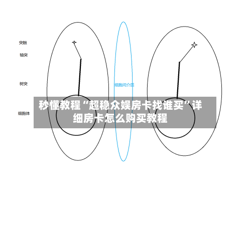 秒懂教程“超稳众娱房卡找谁买	”详细房卡怎么购买教程-第2张图片