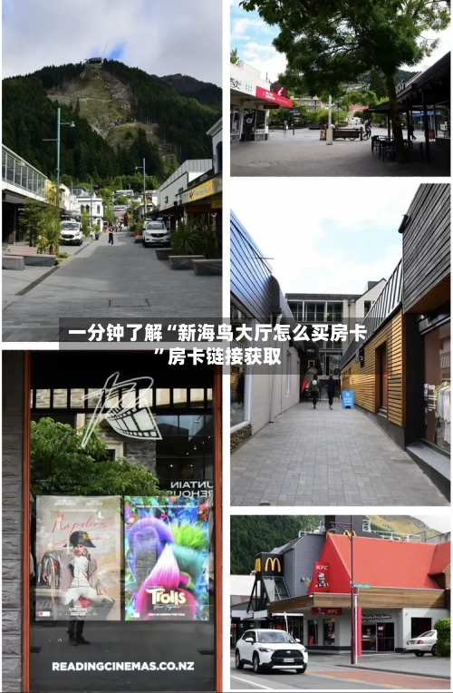 一分钟了解“新海鸟大厅怎么买房卡”房卡链接获取-第2张图片