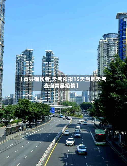 【青县确诊者,天气预报15天当地天气查询青县疫情】-第3张图片