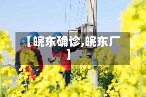 【皖东确诊,皖东厂】