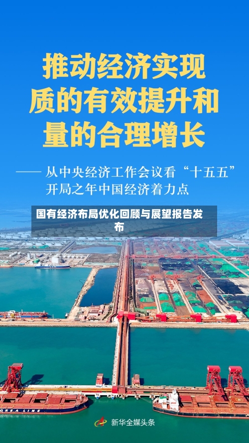 国有经济布局优化回顾与展望报告发布
