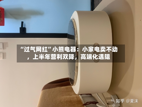 “过气网红”小熊电器：小家电卖不动	，上半年营利双降，高端化遇阻-第2张图片