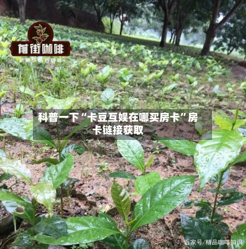 科普一下“卡豆互娱在哪买房卡”房卡链接获取
