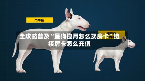 全攻略普及“星狗揽月怎么买房卡”链接房卡怎么充值