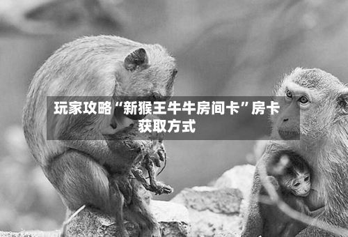 玩家攻略“新猴王牛牛房间卡”房卡获取方式