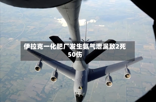 伊拉克一化肥厂发生氨气泄漏致2死50伤-第2张图片
