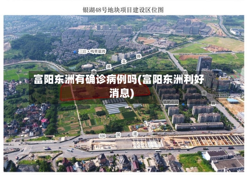 富阳东洲有确诊病例吗(富阳东洲利好消息)-第2张图片