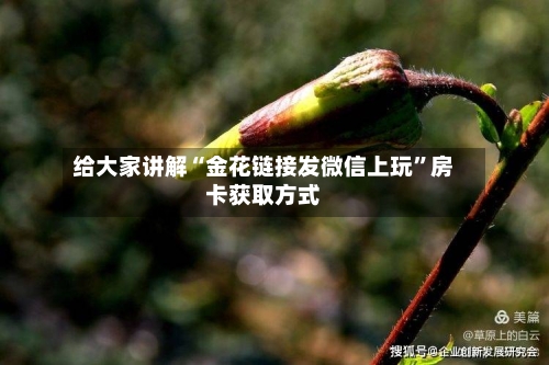 给大家讲解“金花链接发微信上玩”房卡获取方式