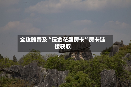 全攻略普及“玩金花卖房卡	”房卡链接获取-第2张图片