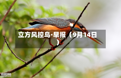 立方风控鸟·早报(9月14日)-第2张图片