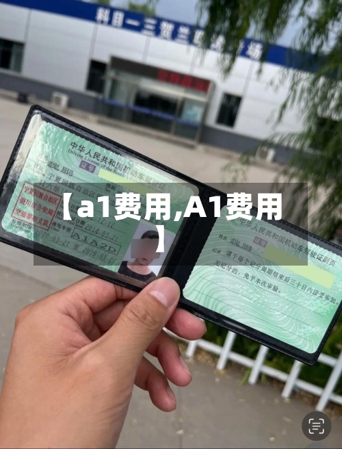 【a1费用,A1费用】-第2张图片