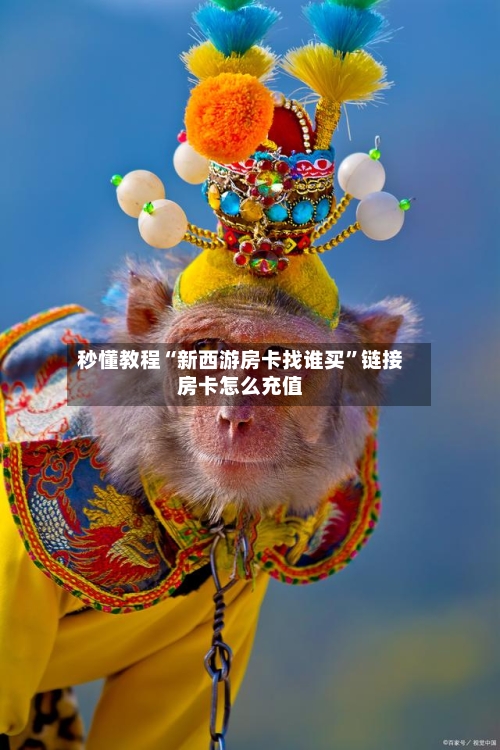 秒懂教程“新西游房卡找谁买”链接房卡怎么充值-第2张图片