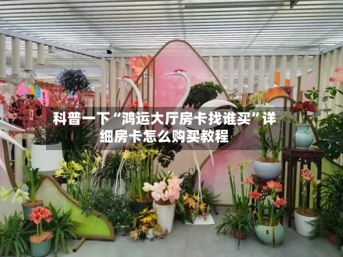 科普一下“鸿运大厅房卡找谁买”详细房卡怎么购买教程-第2张图片