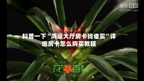 科普一下“鸿运大厅房卡找谁买”详细房卡怎么购买教程