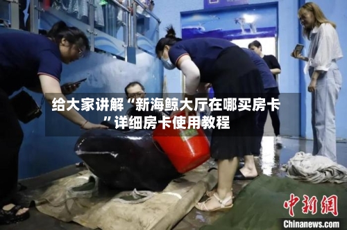 给大家讲解“新海鲸大厅在哪买房卡”详细房卡使用教程-第2张图片