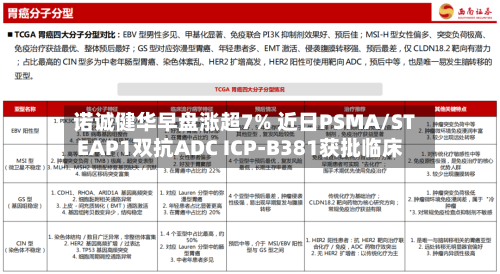 诺诚健华早盘涨超7% 近日PSMA/STEAP1双抗ADC ICP-B381获批临床-第2张图片