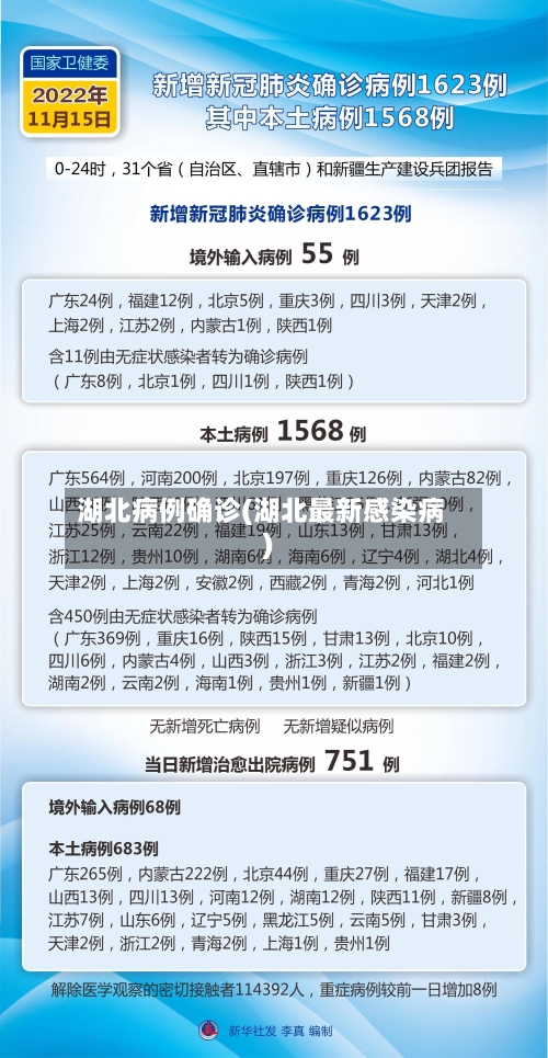 湖北病例确诊(湖北最新感染病)-第2张图片