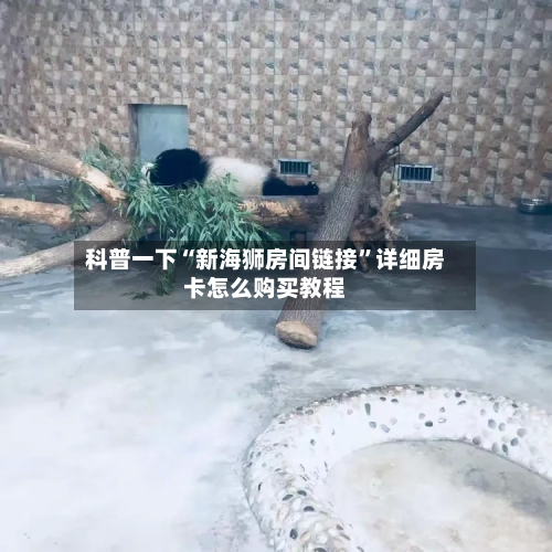 科普一下“新海狮房间链接	”详细房卡怎么购买教程-第2张图片