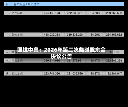 国投中鲁：2026年第二次临时股东会决议公告