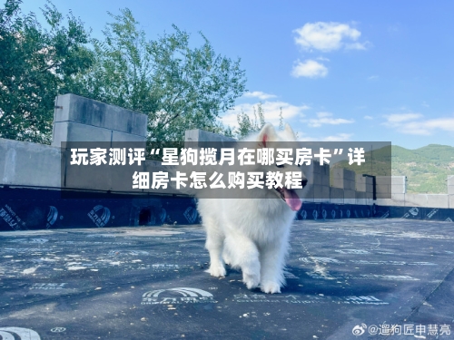 玩家测评“星狗揽月在哪买房卡”详细房卡怎么购买教程-第3张图片