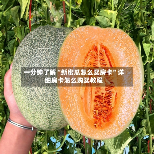 一分钟了解“新蜜瓜怎么买房卡”详细房卡怎么购买教程-第3张图片