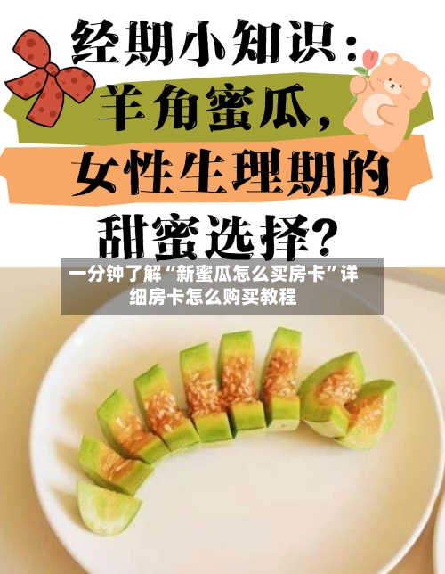 一分钟了解“新蜜瓜怎么买房卡”详细房卡怎么购买教程