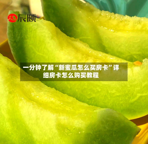 一分钟了解“新蜜瓜怎么买房卡”详细房卡怎么购买教程-第2张图片