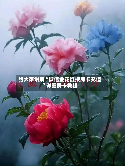 给大家讲解“微信金花链接房卡充值”详细房卡教程-第2张图片