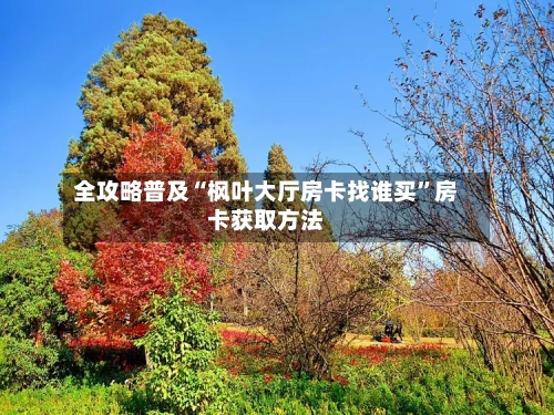 全攻略普及“枫叶大厅房卡找谁买	”房卡获取方法-第3张图片