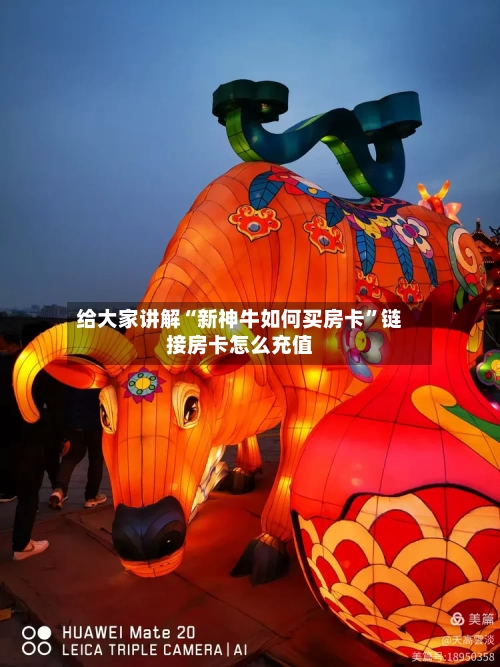 给大家讲解“新神牛如何买房卡	”链接房卡怎么充值-第2张图片