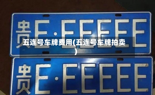 五连号车牌费用(五连号车牌拍卖)
