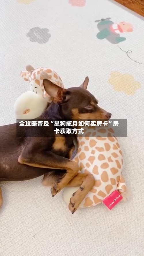 全攻略普及“星狗揽月如何买房卡	”房卡获取方式-第2张图片