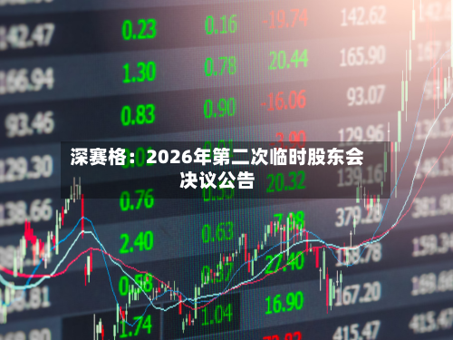 深赛格：2026年第二次临时股东会决议公告