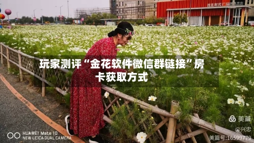 玩家测评“金花软件微信群链接”房卡获取方式-第2张图片