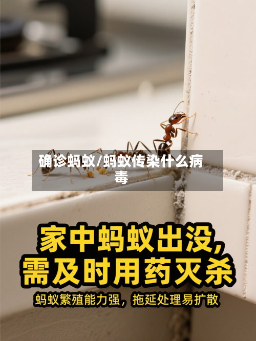 确诊蚂蚁/蚂蚁传染什么病毒