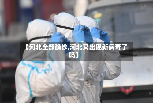 【河北全部确诊,河北又出现新病毒了吗】-第3张图片