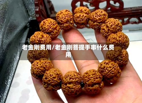 老金刚费用/老金刚菩提手串什么费用-第3张图片