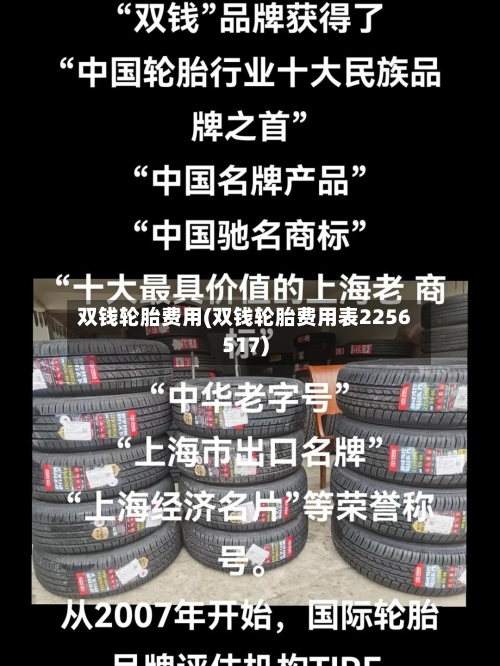 双钱轮胎费用(双钱轮胎费用表2256517)-第3张图片