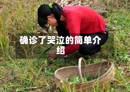 确诊了哭泣的简单介绍-第3张图片