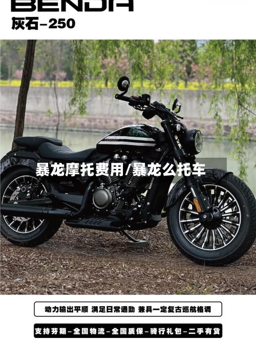暴龙摩托费用/暴龙么托车-第3张图片