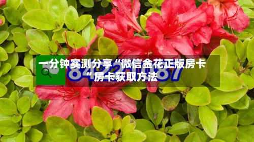 一分钟实测分享“微信金花正版房卡”房卡获取方法-第2张图片
