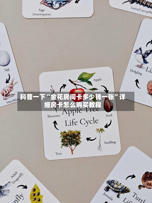 科普一下“金花房间卡多少钱一张”详细房卡怎么购买教程-第2张图片