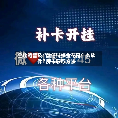 全攻略普及“微信链接金花是什么软件”房卡获取方法-第2张图片