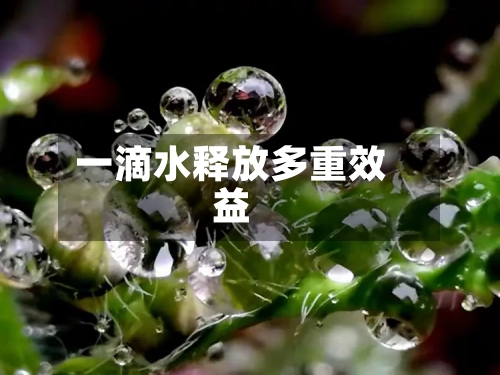 一滴水释放多重效益
