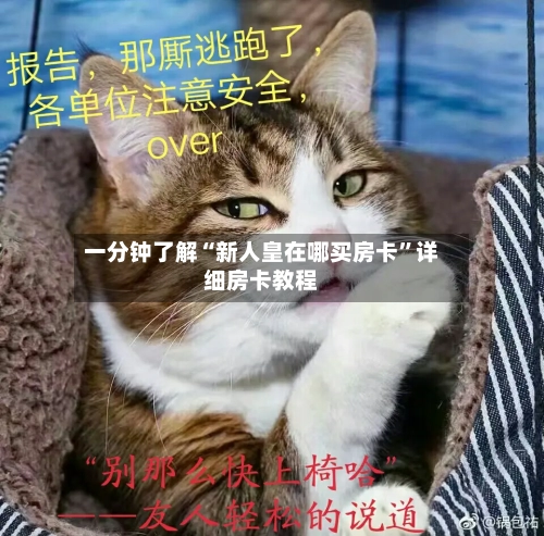 一分钟了解“新人皇在哪买房卡”详细房卡教程