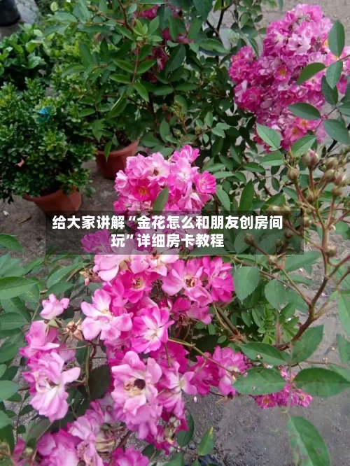 给大家讲解“金花怎么和朋友创房间玩	”详细房卡教程-第2张图片