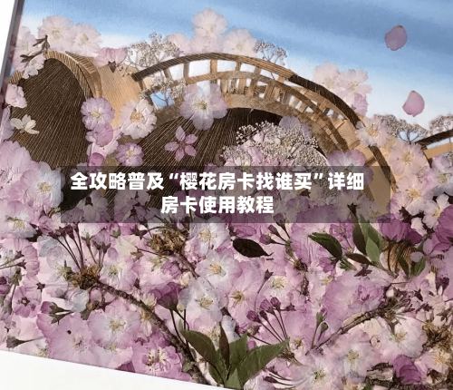 全攻略普及“樱花房卡找谁买”详细房卡使用教程-第2张图片