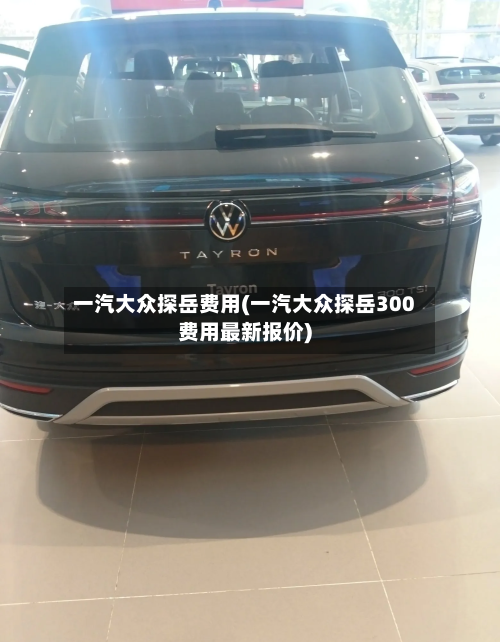 一汽大众探岳费用(一汽大众探岳300费用最新报价)