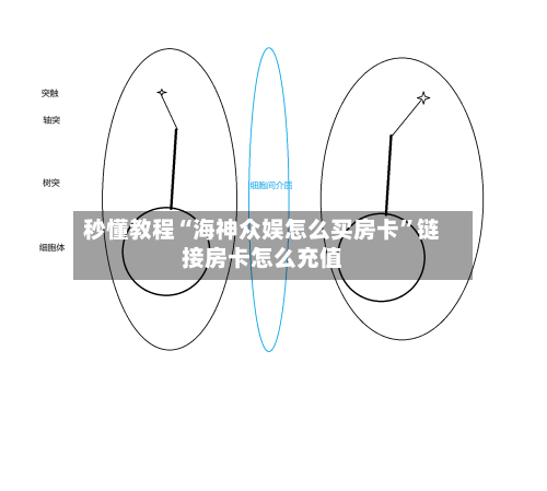 秒懂教程“海神众娱怎么买房卡”链接房卡怎么充值-第2张图片